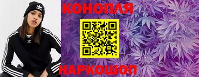гидра Моздок