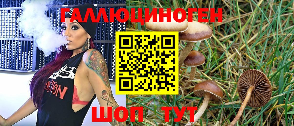 Гатчина  Галлюциногенные грибы MAGIC MUSHROOMS  Вход с VPN 